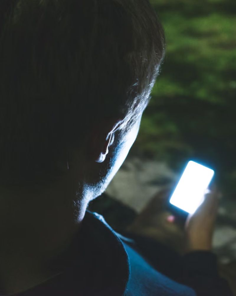 Trust and Emotional Infrastructure of AI